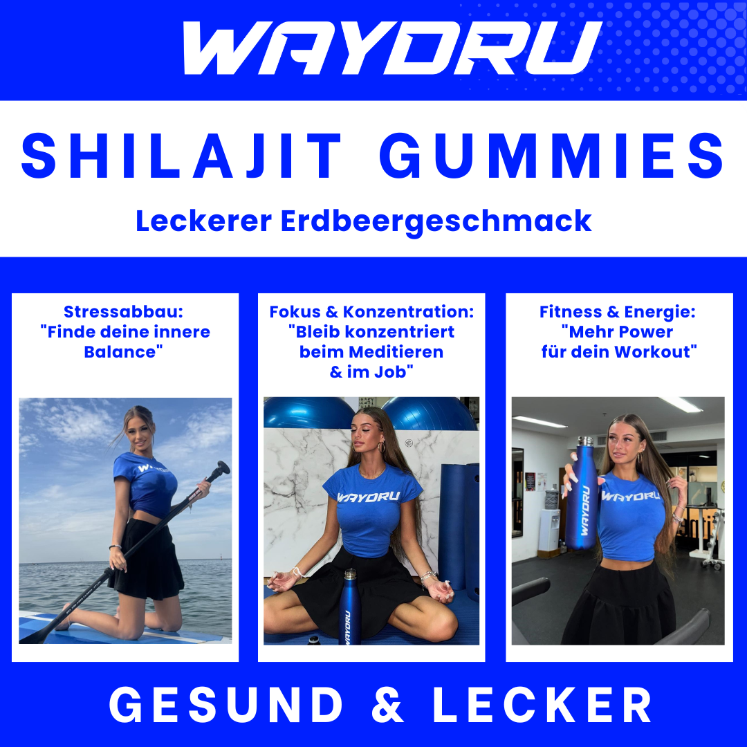 WAYDRU - Shilajit Gummies – vegane Shilajit Gummibären Nahrungsergänzung mit Fulvinsäure, Vitamin C, B6 und B12 für Energie, Vitalität und Immunsystem, 60 Stück
