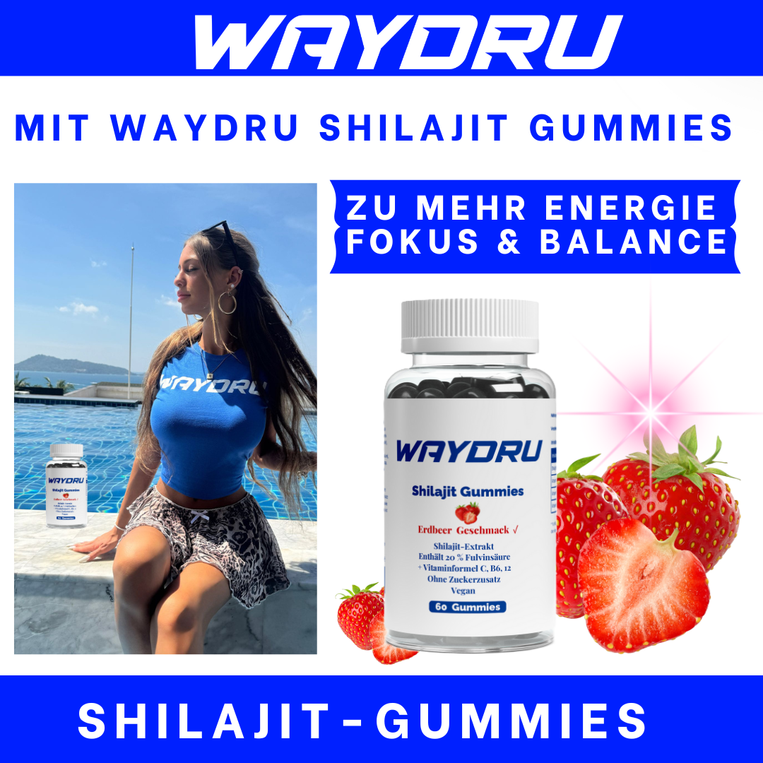 WAYDRU - Shilajit Gummies – vegane Shilajit Gummibären Nahrungsergänzung mit Fulvinsäure, Vitamin C, B6 und B12 für Energie, Vitalität und Immunsystem, 60 Stück