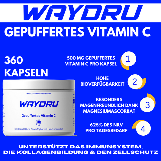 WAYDRU Gepuffertes Vitamin C Kapseln – magenfreundliches Vitamin C Supplement zur Unterstützung von Immunsystem, Haut und Energie