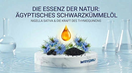Waydru Ägyptisches Schwarzkümmelöl Ursprung: Ästhetische Infografik der blauen Nigella Sativa Pflanze und der schwarzen Samen im Okinawa-Stil.