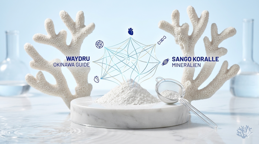Waydru Sango Meereskoralle Pulver Featured Image: Reines Okinawa Mineral-Pulver für Hydratation und Performance im korallenfreien Design.