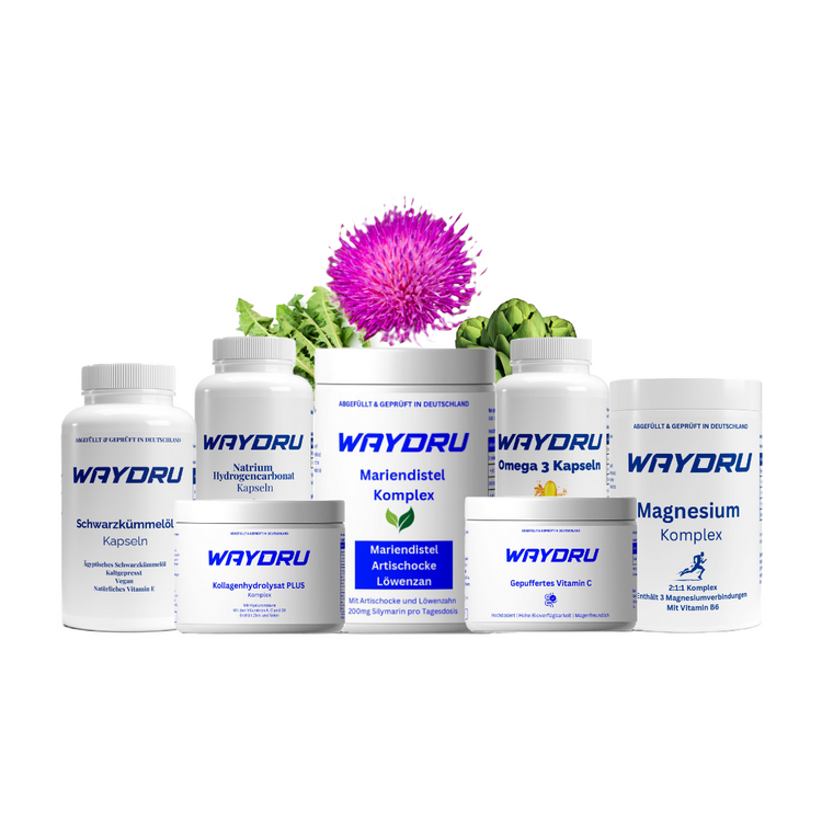 Kapseln – gezielte Supplements für Gesundheit & Wohlbefinden