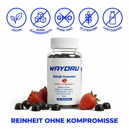 WAYDRU - Shilajit Gummies – vegane Shilajit Gummibären Nahrungsergänzung mit Fulvinsäure, Vitamin C, B6 und B12 für Energie, Vitalität und Immunsystem, 60 Stück