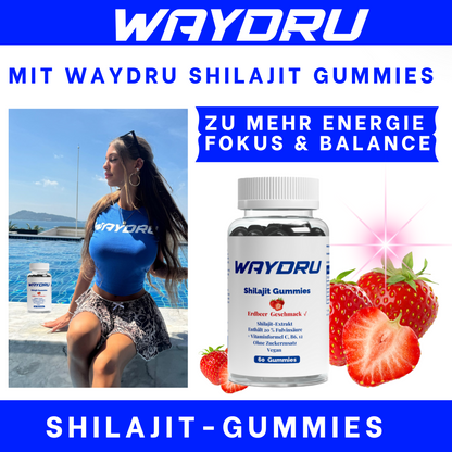 WAYDRU - Shilajit Gummies – vegane Shilajit Gummibären Nahrungsergänzung mit Fulvinsäure, Vitamin C, B6 und B12 für Energie, Vitalität und Immunsystem, 60 Stück