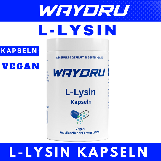 WAYDRU – L-Lysin Kapseln

Aminosäure für dein Immunsystem &amp; Gewebeaufbau – vegan &amp; hochrein!