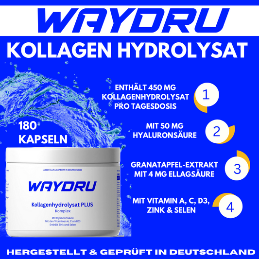 WAYDRU - Kollagenhydrolysat PLUS – Kapseln