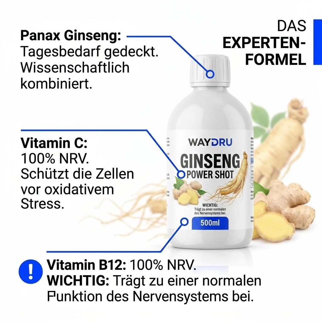 Infografik der Wirkstoffe: Hochkonzentrierter Ginseng-Extrakt, Vitamin C (100% NRV) und Vitamin B12.