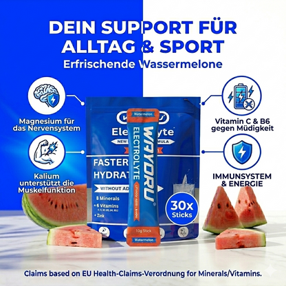 Infografik der Vorteile von WAYDRU Elektrolyten: Magnesium, Kalium und Vitamine für Sport und Regeneration.